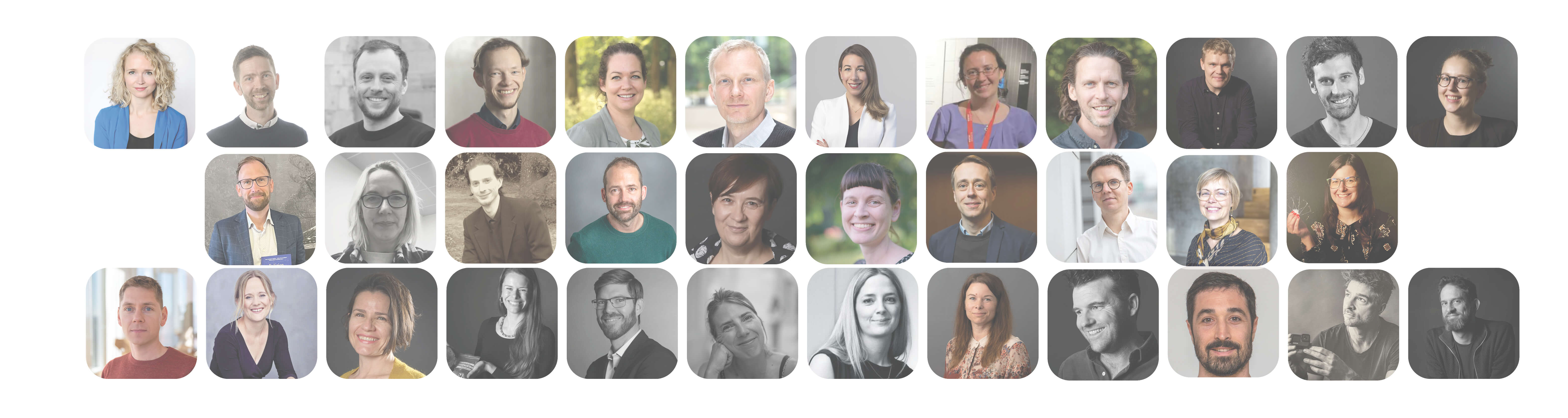 Society of fellows collage